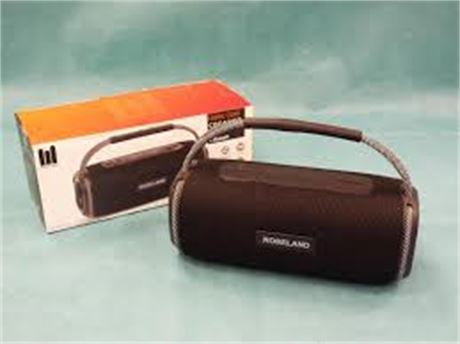 bluetooth speaker ROSELAND RS-510 10W | Aukro