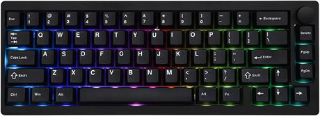 EPOMAKER P65 Wireless Keyboard, Gasket-Mount, BT/2.4G/USB-C NKRO