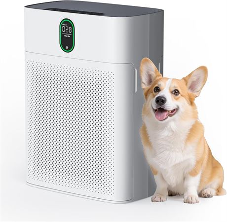 Purificateur d'air jusqu'  100 m , filtre HEPA, 24 dB, blanc