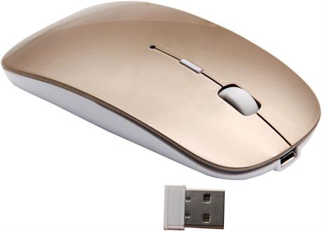Tsmine Rechargeable Slim Wireless Mouse, USB Nano Receiver, Gold