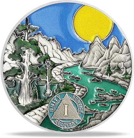 1 Year AA Sobriety Chip Medallion Serenity Prayer Token AA Recovery Gift