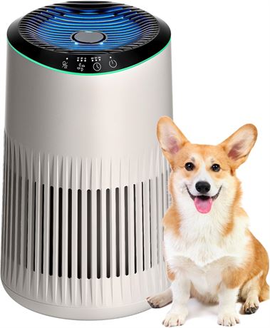 Air Purifier for Bedroom Smoke Odor Sleep Mode Blue Night Light White