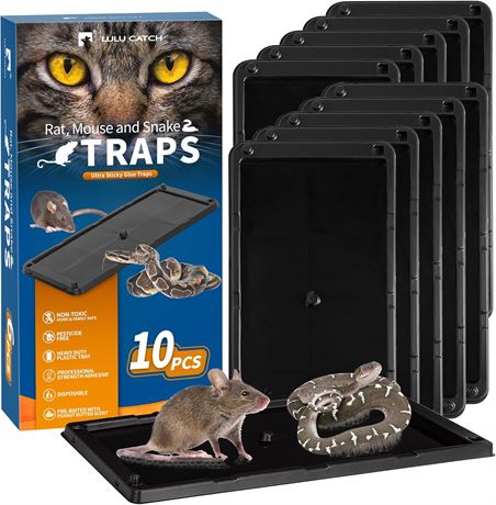 Pi ges   souris LULUCATCH en colle, lot de 10, pour int rieur, non toxiques
