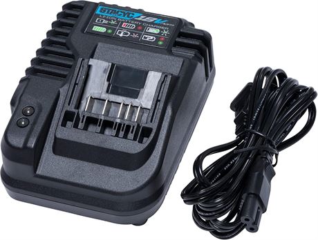 STACYC Replacement Smart Battery Charger