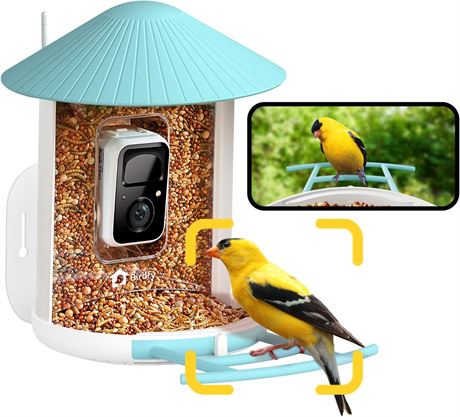Netvue Mangeoire   oiseaux avec cam ra, nichoir anti- cureuil, IA esp ces