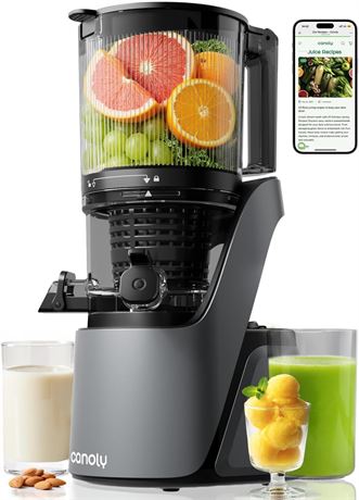 Presse-agrumes Canoly extraction froide goulotte large 300 W gris