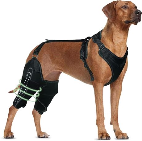 Dog Knee Brace for ACL/CCL Injuries, Lux Patella, Rear Leg Support, Size L