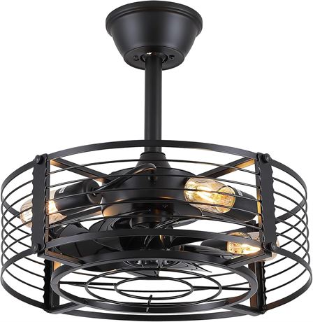 Dannilong Ventilateur de plafond cage avec lumi re, noir, 45,7 cm, t l., r v.