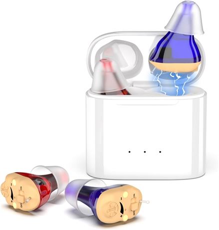 Wireless Rechargeable Hearing Aids with Magnetic Charging Case, 2-Channel