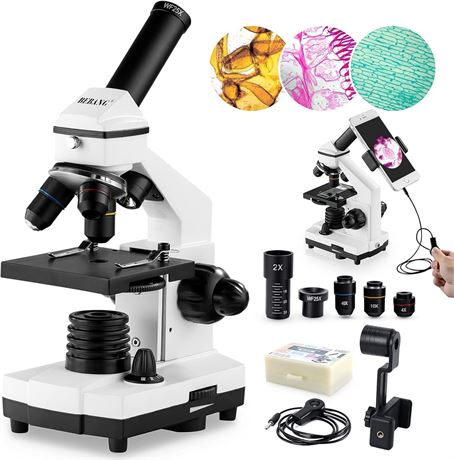 Microscope BEBANG 100X-2000X avec Lames & Accessoires