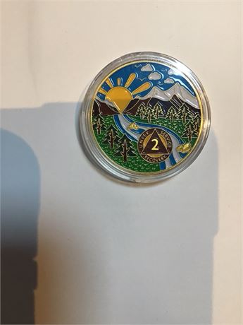 1 Year AA Sobriety Chip Medallion Serenity Prayer Token AA Recovery Gift