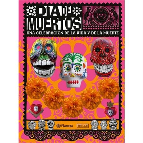 Day of the Dead Book by Deborah Holtz Paperback