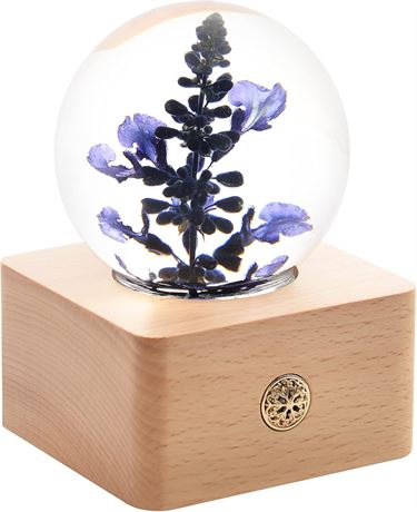 MISS LI GARDEN Lavande Réelle dans Boule de Cristal avec Lumières LED