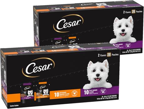 Cesar Filets in Gravy Wet Dog Food Variety Pack Mini Pouches