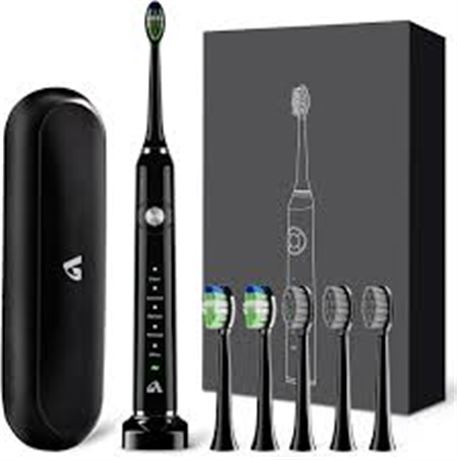 Teeth Whitening Toothbrush with 6 Brush Heads   3puglees.com