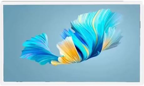 21.5" Android 14 Touchscreen Tablet Full HD POE HDMI Camera