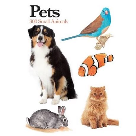 Pets Mini Encyclopedia by Claudia Martin (Paperback)