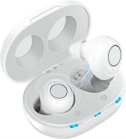 Rechargeable Hearing Aids Seniors & Adults, Volume Control, Portable Case