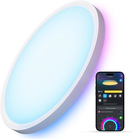 Govee Plafonnier intelligent LED RGBIC, 2400LM, 16M couleurs, Alexa, 30 cm